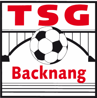 RE/MAX Champion Backnang ist Sponsor der TSG Backnang Fußball